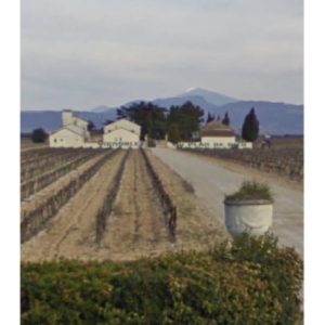 Côtes-du-Rhône Villages AOP – Plan Kunst Wein und – de Dieu – 2020